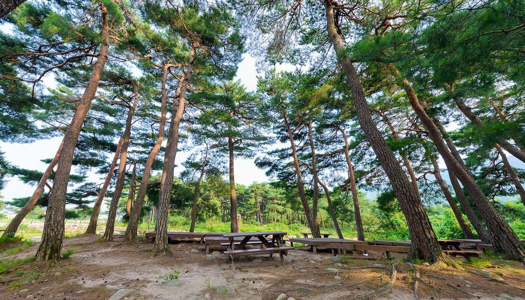 Seorak Pension Sokcho Exterior photo